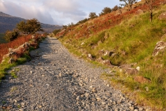 The road home