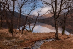 Llyn Gwynant, Nantgwynant