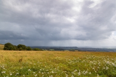 Mendip Hills