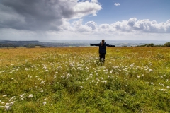 Up in the Mendip Hills