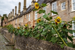 Vicars’ Close