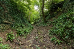 New Cut, Mendip Hills