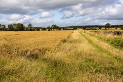 Mendip Hills