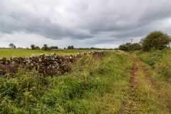 Up on the Mendip Hills