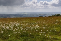 Mendip Hills