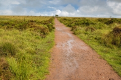 Path to Beacon Batch