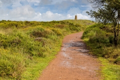 Path to Beacon Batch