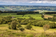 View north from Black Down