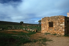 Kanyaka Township