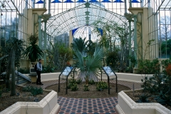Interior of the Palm House