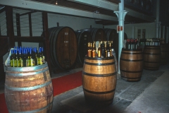 Chateau Tanunda