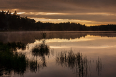 Mydlak after the storm