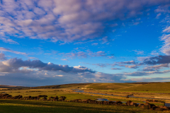 Evening, Cuckmere Valley