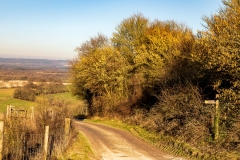 South Downs above East Harting