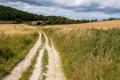South Downs Way, Slindon Estate