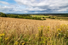 View from the South Downs Way at Slindon Estate