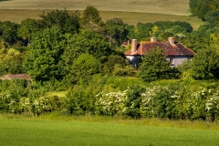 House nestling in trees in the South Downs near East Dean