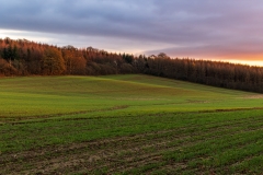 Sunset tones in the Sussex countryside