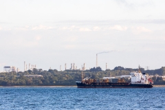 "Sand Heron", Southampton Water