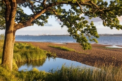 Evening on Weston Shore