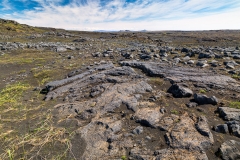 Miðlina lava field