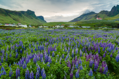 Vík i Myrdal village