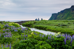View to Reynisfjall, Vik