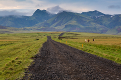 South Iceland landscape