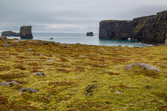 Across moorland to the cliffs at Dyrhólaey, south Iceland