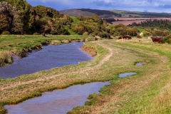 Cuckmere River