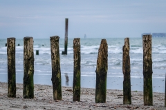 Groyne, West Wittering beach