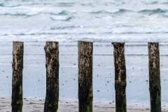 Groyne, West Wittering beach