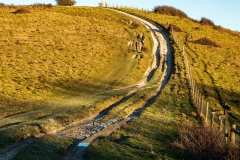 South Downs Way