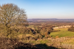 South Downs above East Harting