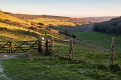 South Downs Way