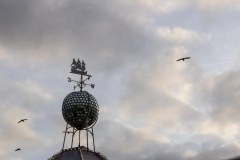 Palace Pier, Brighton