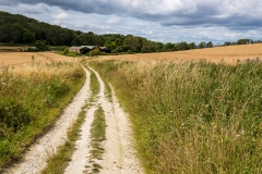South Downs Way, Slindon Estate