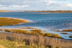Salt marshes in Chichester Harbour near The Spit, West Wittering