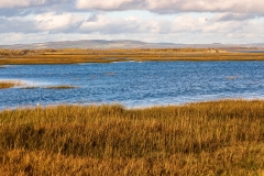 Chichester Harbour salt marshes