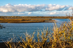 Chichester Harbour salt marshes