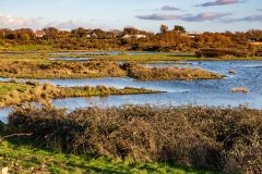 Chichester Harbour salt marshes