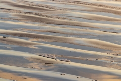 Patterns in the sand