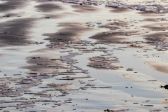 Patterns in the sand