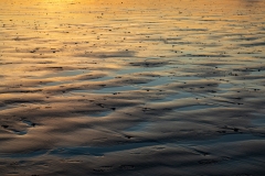 Golden sands