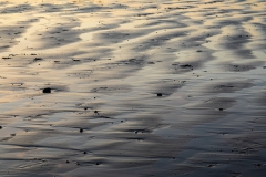 Patterns in the sand