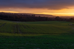 Sunset colours over Sussex farmland
