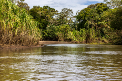 Rio Tortuguero