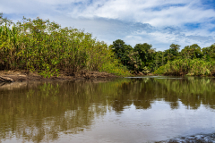 Rio Tortuguero