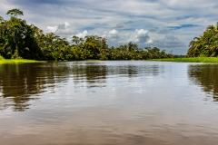 Rio Tortuguero