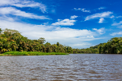 Rio Tortuguero